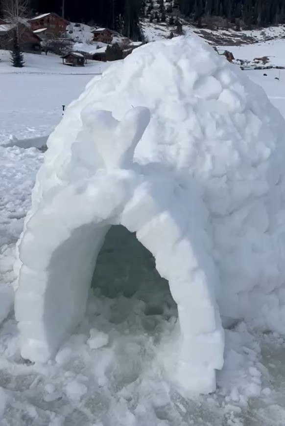 Igloo_e814b.jpg